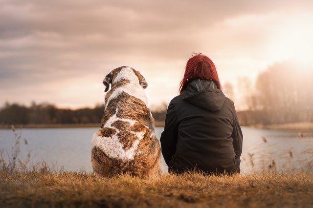 Собака и человек на берегу реки вдвоем, спиной к зрителю